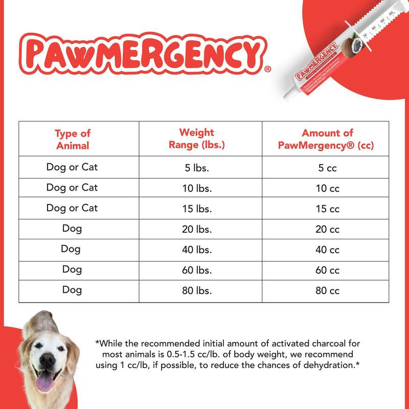 Pawmergency Coconut Charcoal First Aid Kit – Digestive Support & Electrolyte Gel for Dogs, Cats & Puppies | Anti-Diarrheal & Constipation Relief for Outdoor Adventures