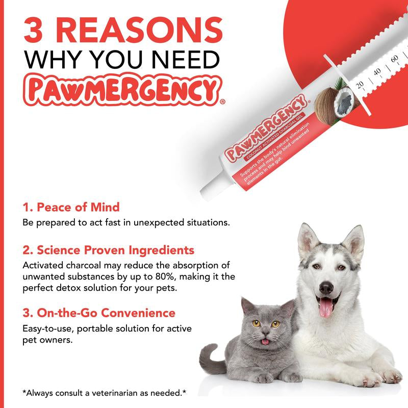 Pawmergency Coconut Charcoal First Aid Kit – Digestive Support & Electrolyte Gel for Dogs, Cats & Puppies | Anti-Diarrheal & Constipation Relief for Outdoor Adventures
